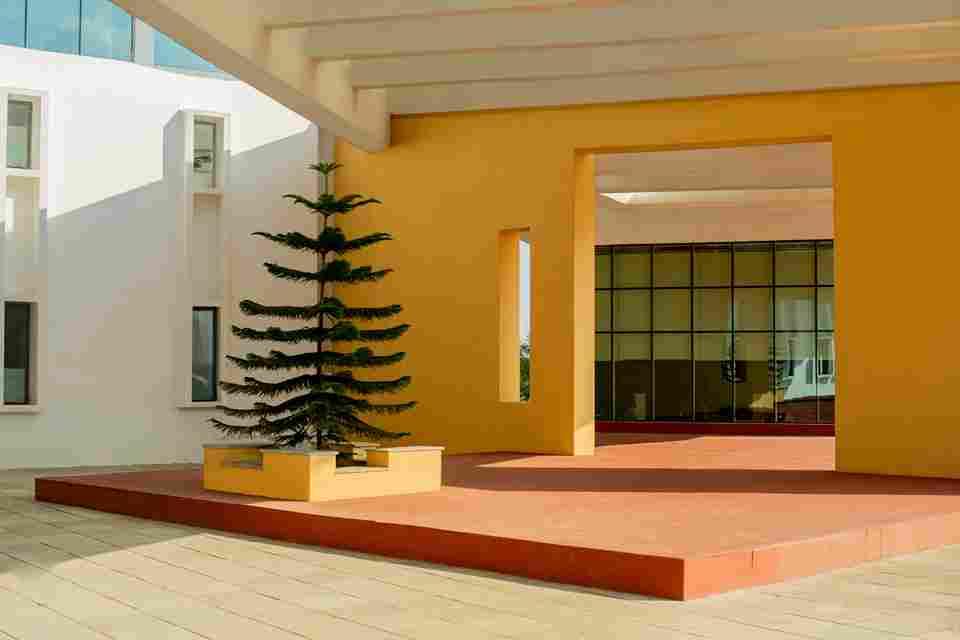 GIM Goa Campus photo 12